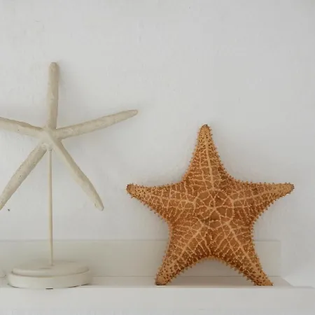 別荘 ,nerja, Seaview, Pool, 3 Bedrooms, Huge Terrace And Garden ネルハ